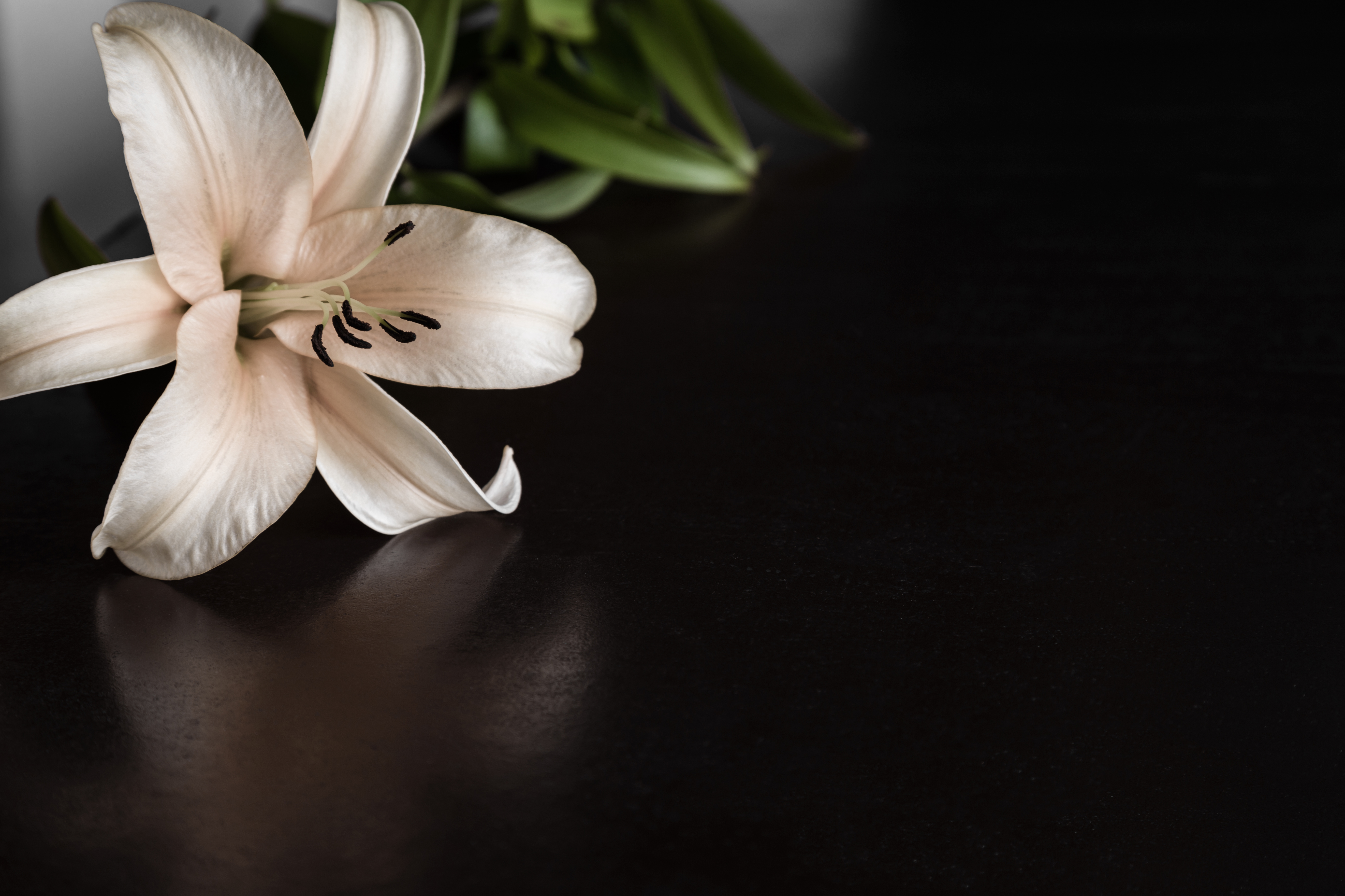 Pembroke Pines wrongful death lawyer